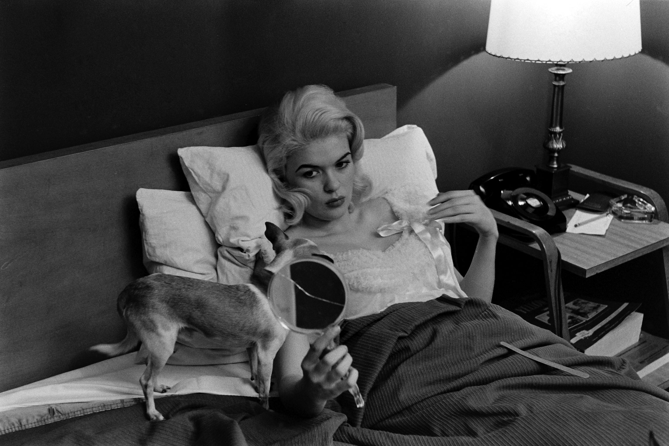 Jayne Mansfield with her pet Chihuahua, Hollywood, 1956.
