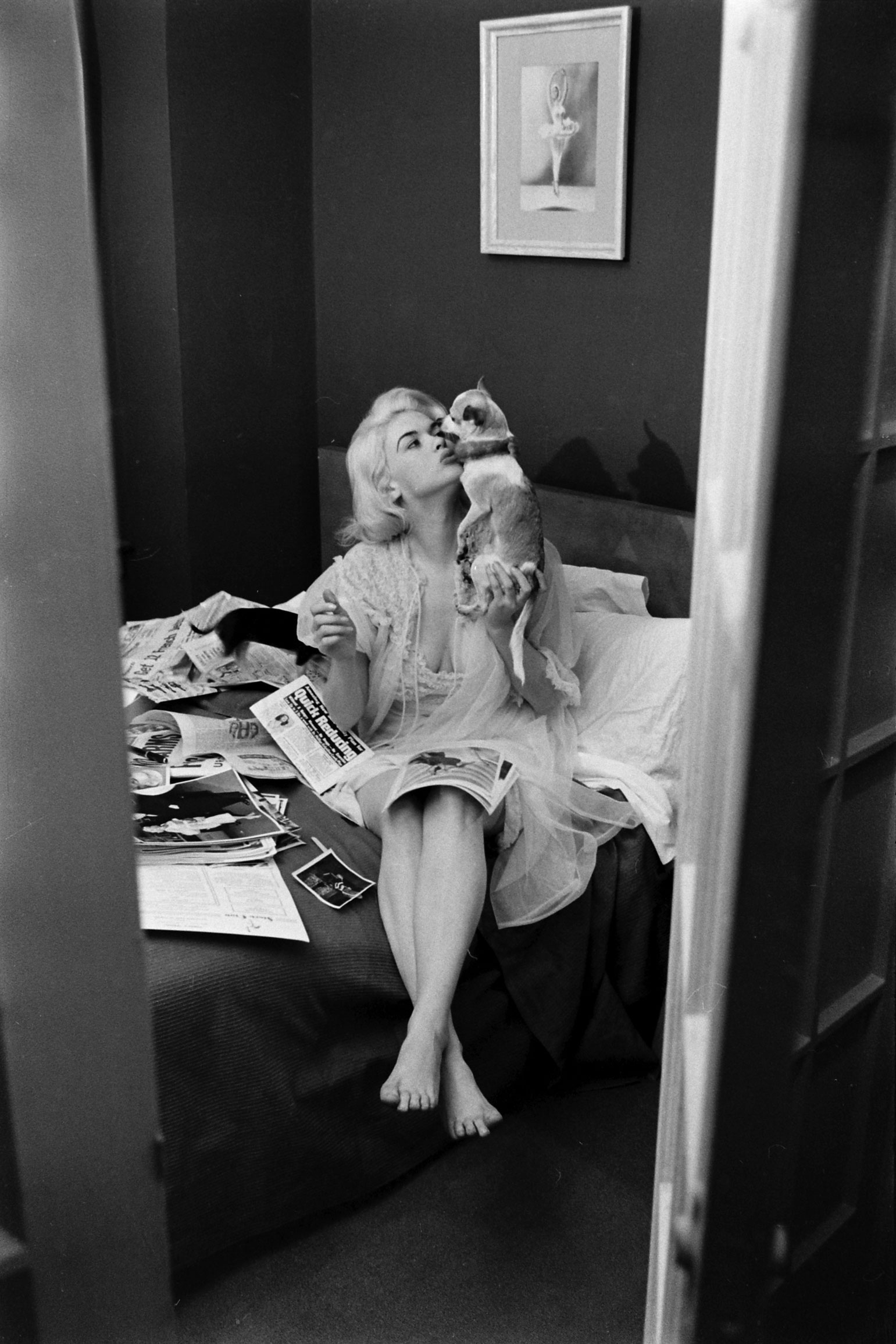 Jayne Mansfield with her pet Chihuahua, at home in Hollywood, 1956.