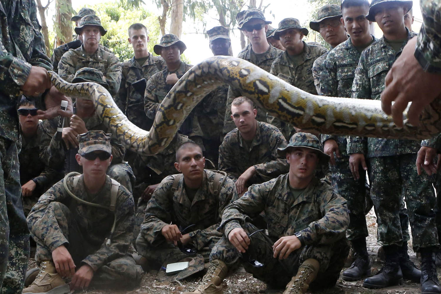 U.S. Marines look at a snake before it was slaughtered for lunch during a jungle survival training at Camp O-Donnell in Capas
