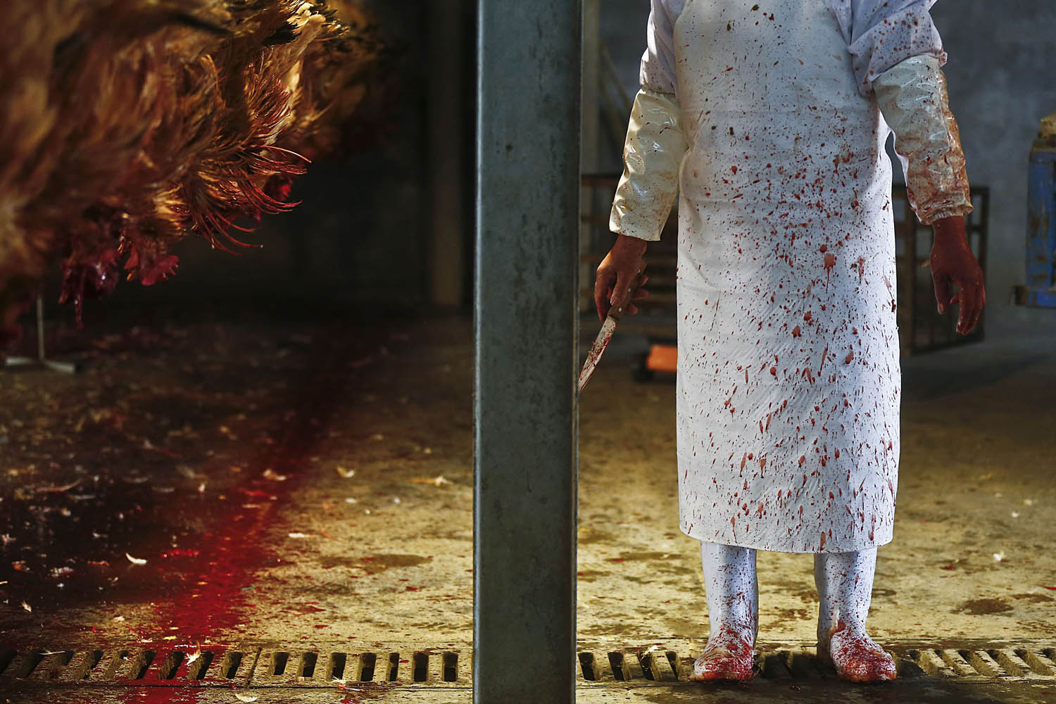 An employee holding a knife stands next to chickens on a processing production line at a slaughter house in Shanghai