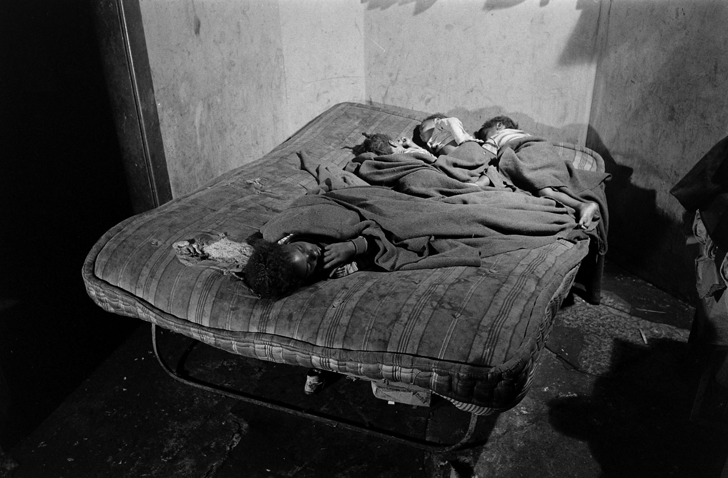 Family living situation in Chicago slums, 1954.
