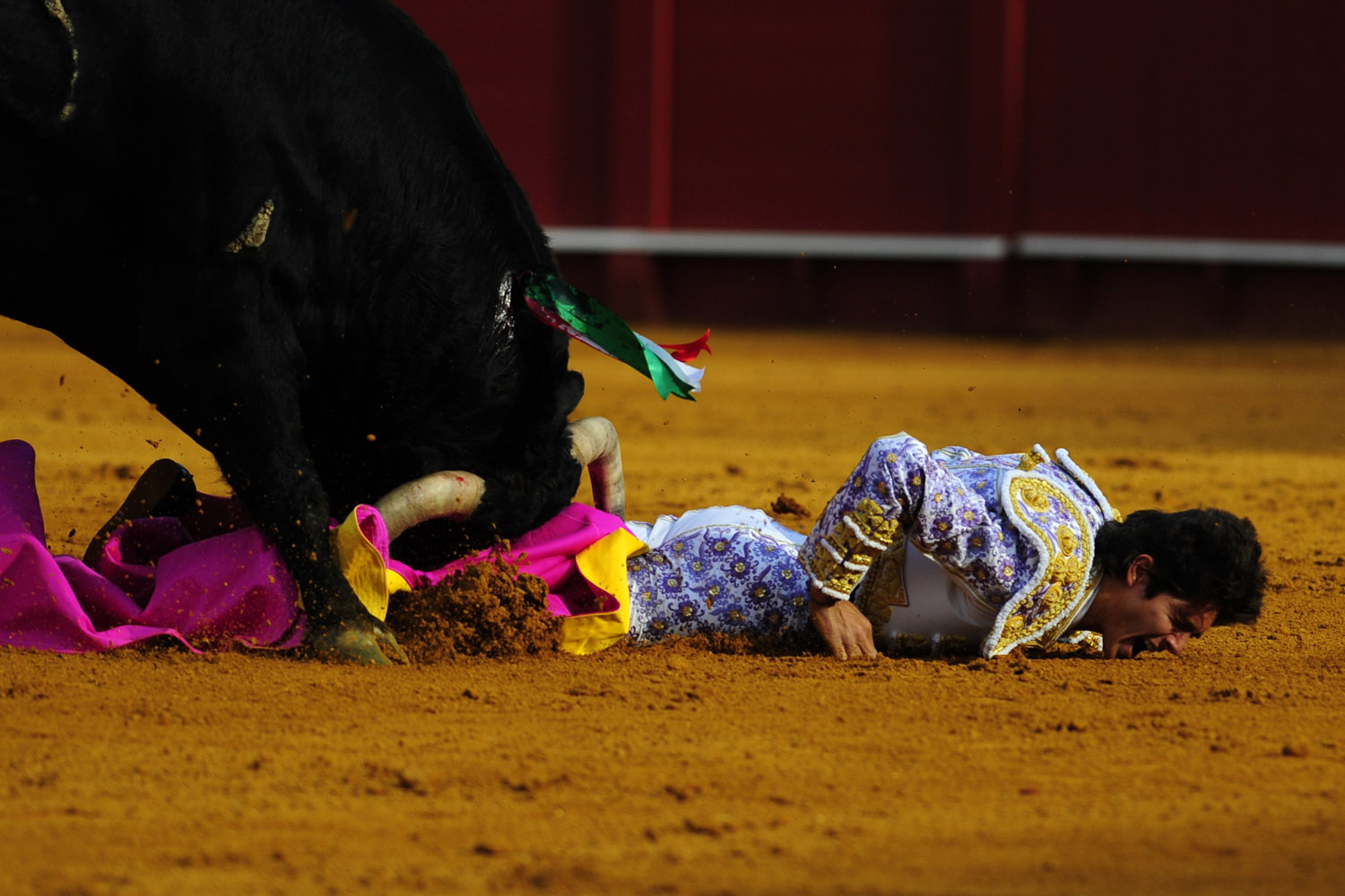 April 15, 2013. French matador Sebastian Castella is gored by a bull during a bullfight at the Maestranza bullring in Sevilla.