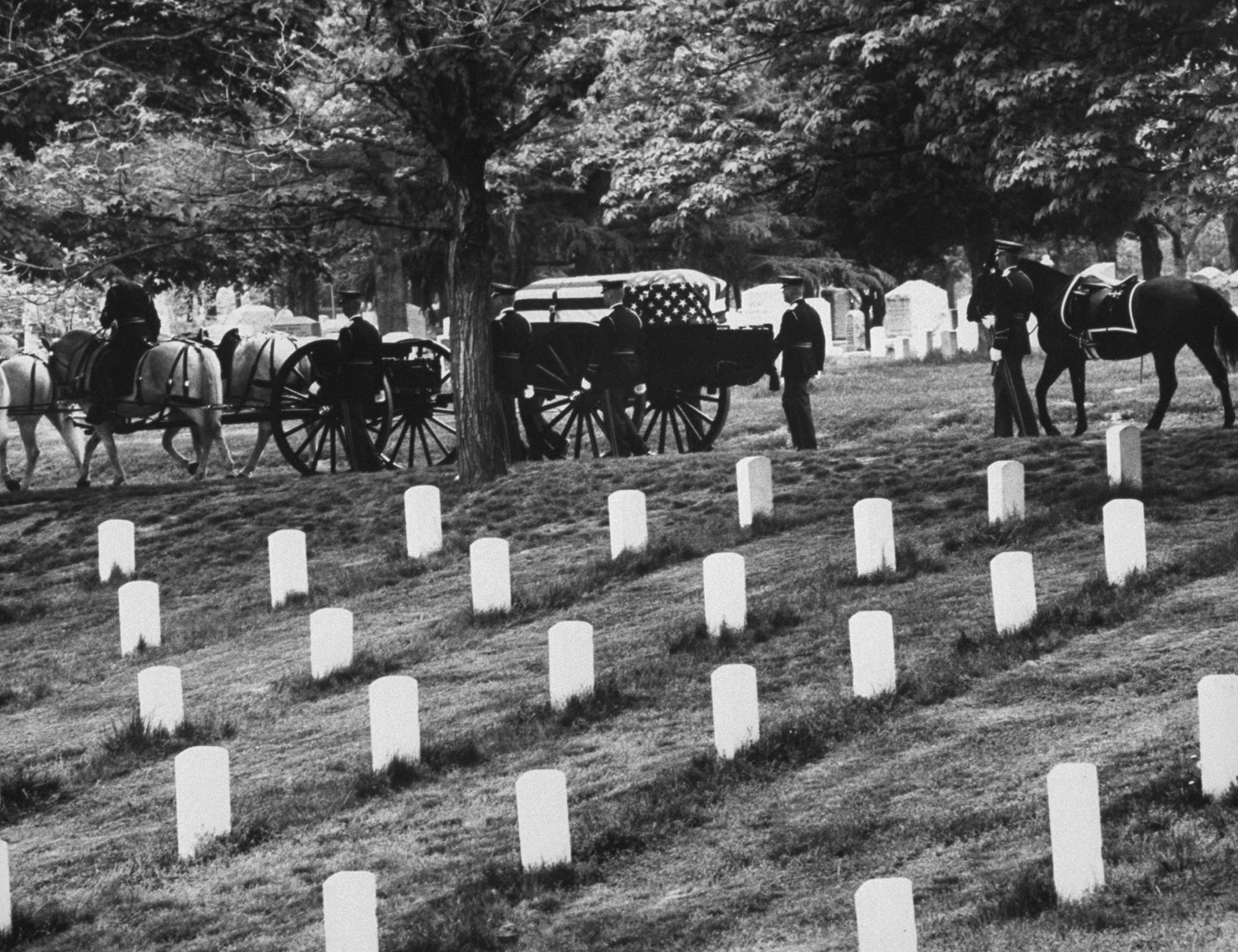 Horses pull a caisson through Arlington National Cemetery, 1965.