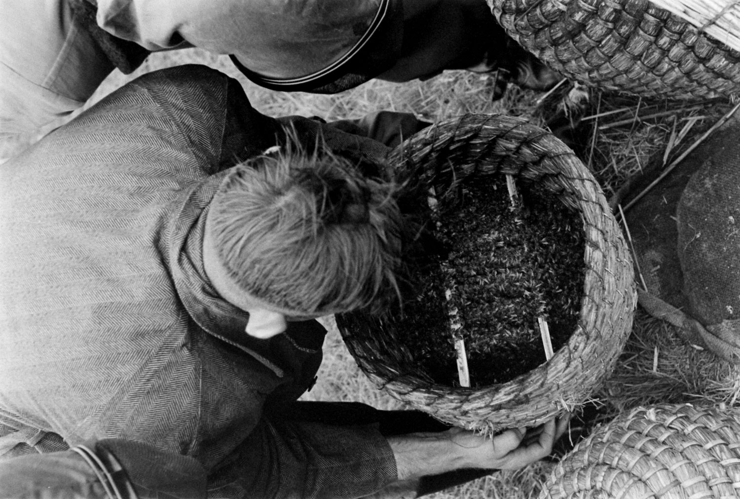 Bee market, Veenendaal, Netherlands, 1956.