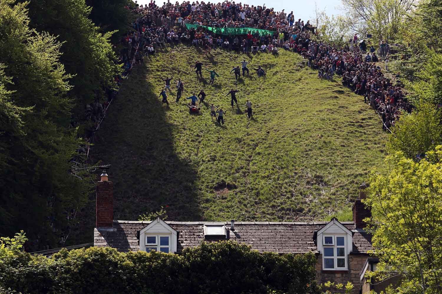 May 27, 2013. Contestants in the men's race chase a replica Double Gloucester Cheese down the steep gradient of Cooper's Hill during the annual Bank Holiday tradition of cheese-rolling in Brockworth, Gloucestershire, England.
