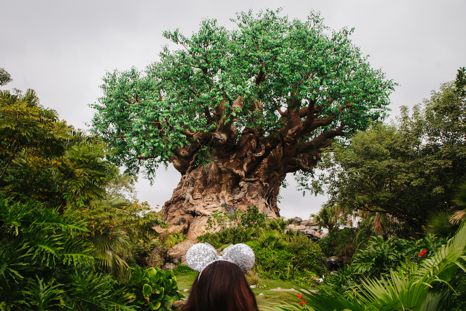 Tree of Life, Orlando, FL, 2012, from the project, 'Florida: Eden Isle'.