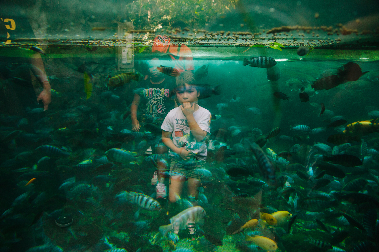 Under the Sea, Orlando, FL, 2012, from the project, 'Florida: Eden Isle'.