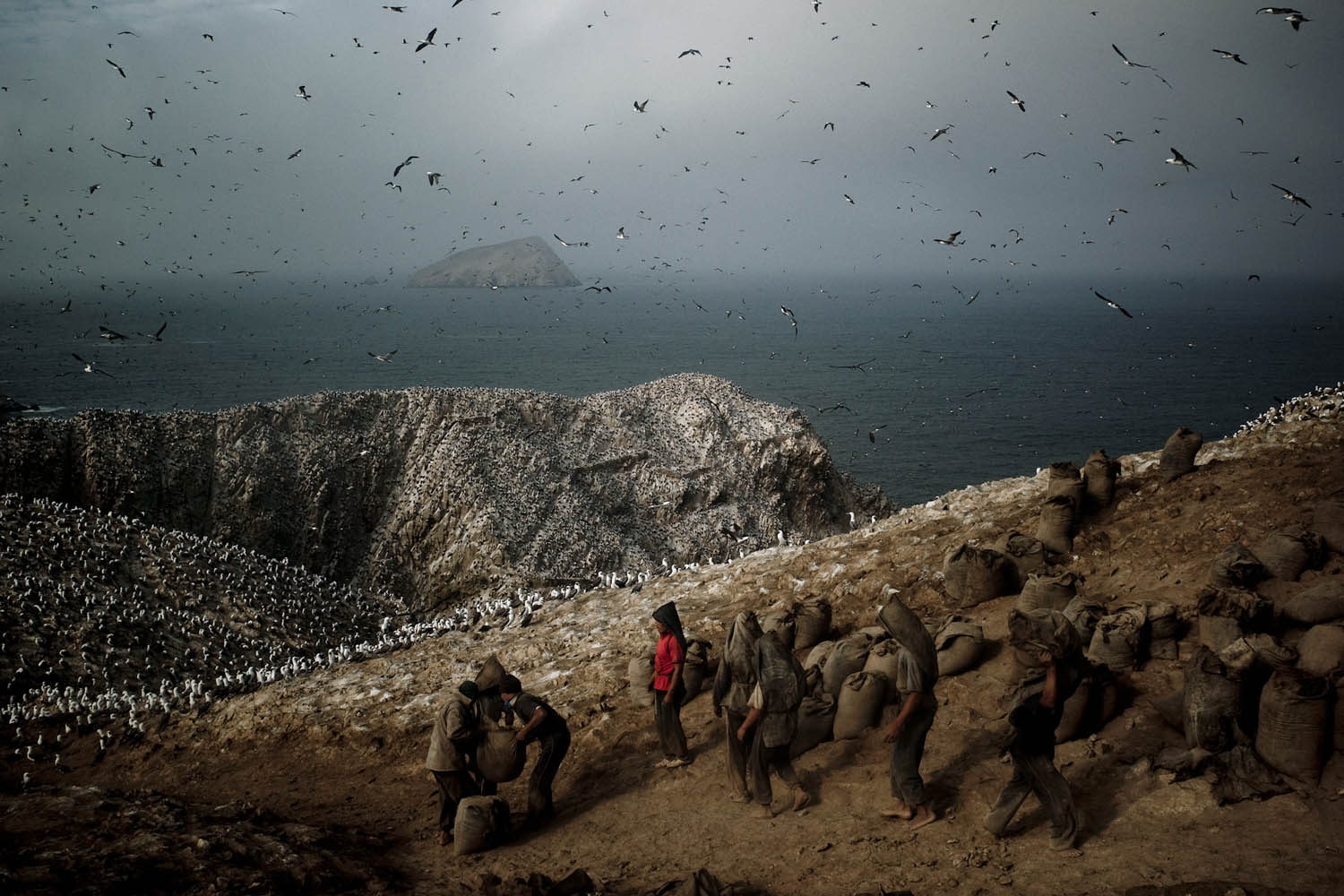 Porters wait for a sack of guano to carry, Guañape Norte Island in the coast off Peru, May 2008. Photo/Tomas Munita