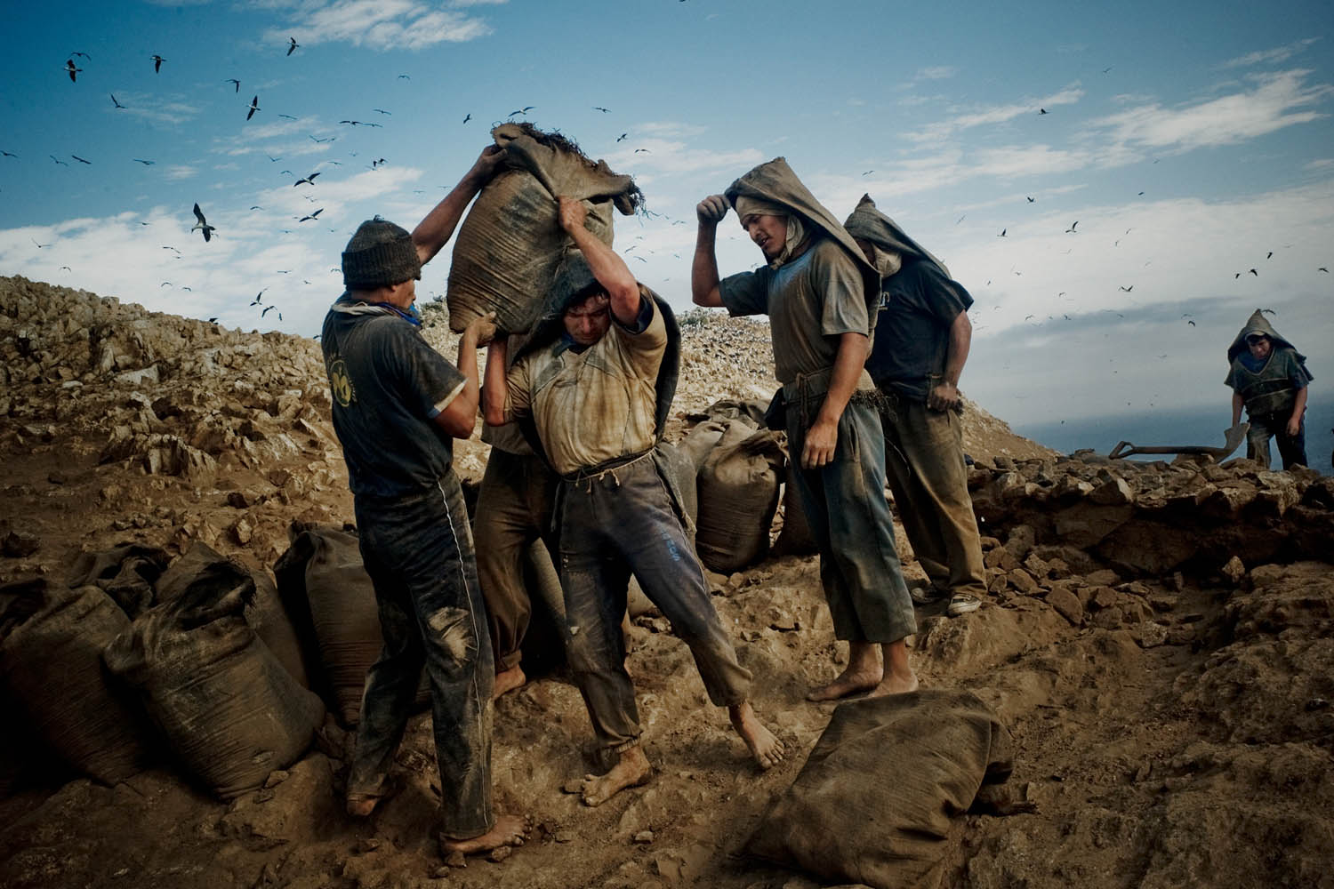 A porter receives a sack of guano of around 50kg to carry it down the hill, on top of GuaÒape Norte Island in the coast off Peru, May 2008.  The daily task for porters is to carry around 125 sacks of 50kg an average distance of 50mt per worker, so each porter carries 6.25 tons a day. Photo/Tomas Munita