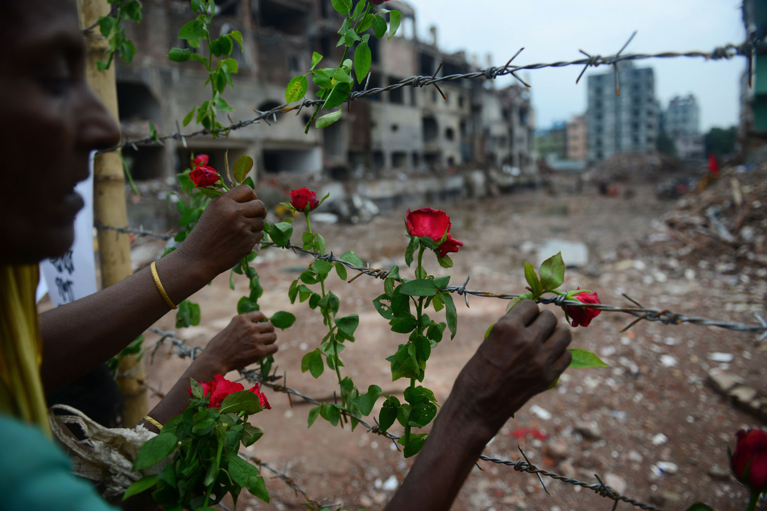 May 24, 2013. A Bangladeshi family member of a missing garment worker places roses on the barbed wire fence as she pays tribute to the victims at the site of the nine-story building collapse in Savar.