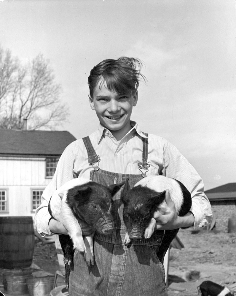 Bob Esbenshade holds a pair of Hampshire piglets on a farm in Lancaster County, Pa., 1943.