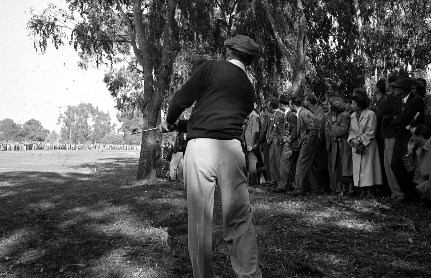 Ben Hogan hits from the rough, Los Angeles Open, Riviera Country Club, January 1950.