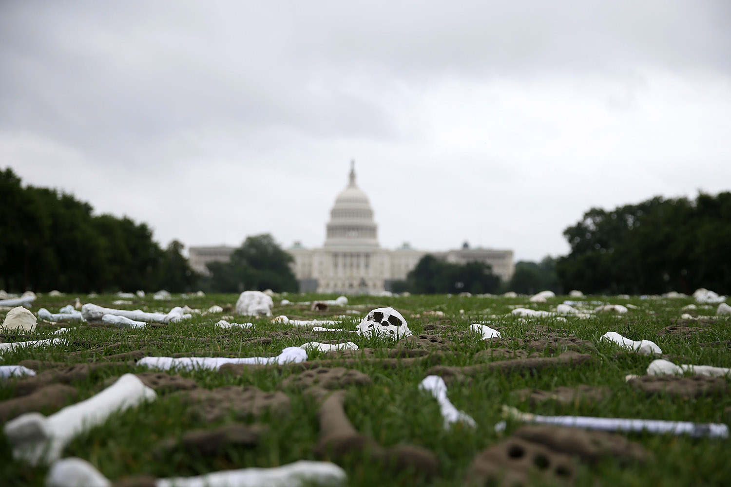 "One Million Bones" Installation On Nat'l Mall Honors Genocide Victims
