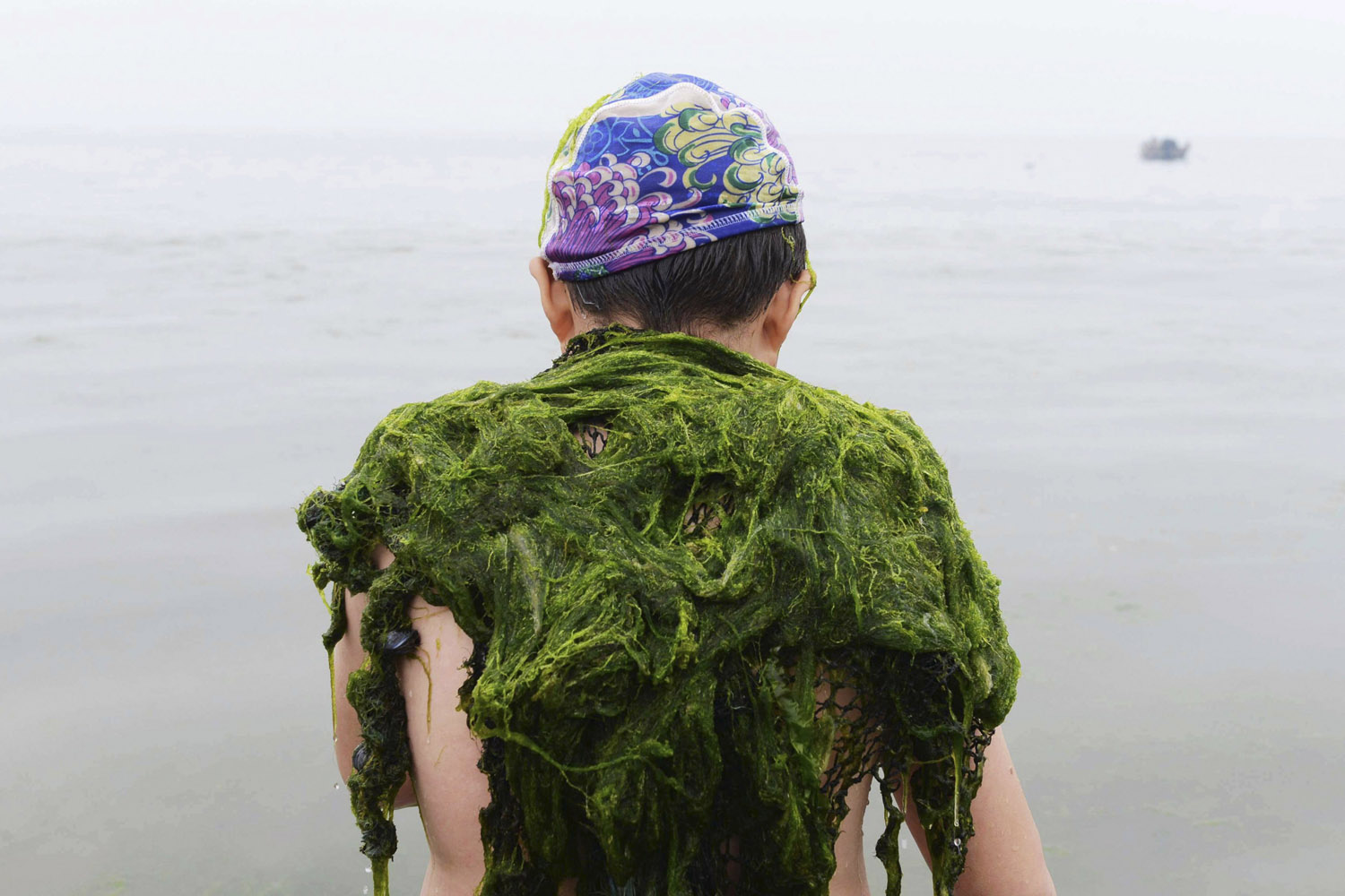 June 22, 2013. Algae is pictured on the shoulders of a swimmer along the seaside in Qingdao, Shandong province.