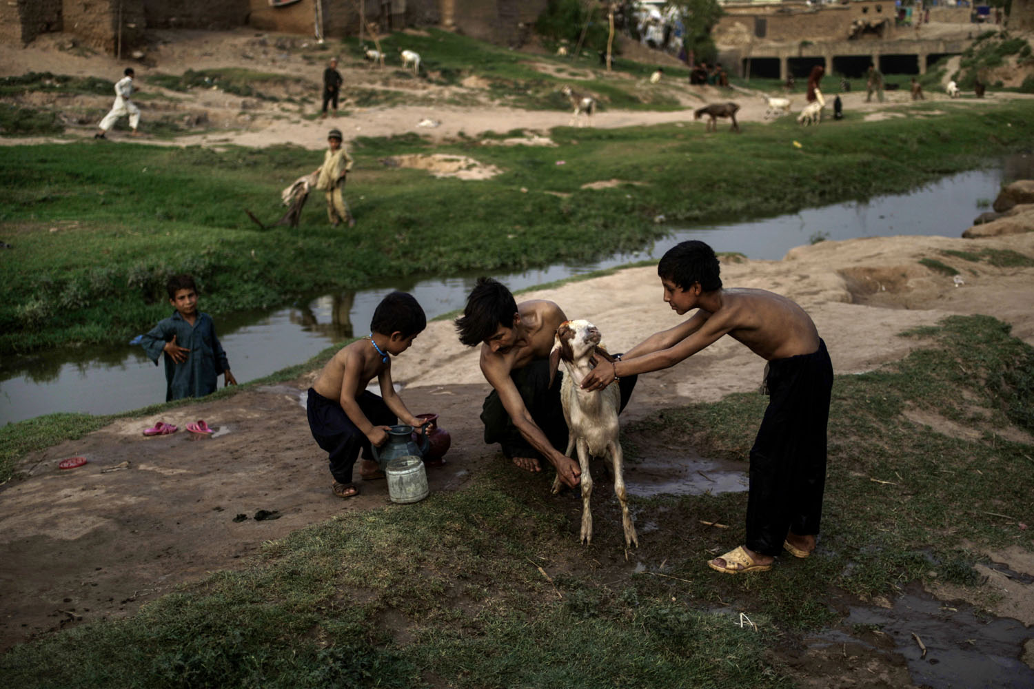 June 24, 2013. A Pakistani man and his two sons, wash their goat by a polluted stream on the outskirts of Islamabad, Pakistan.