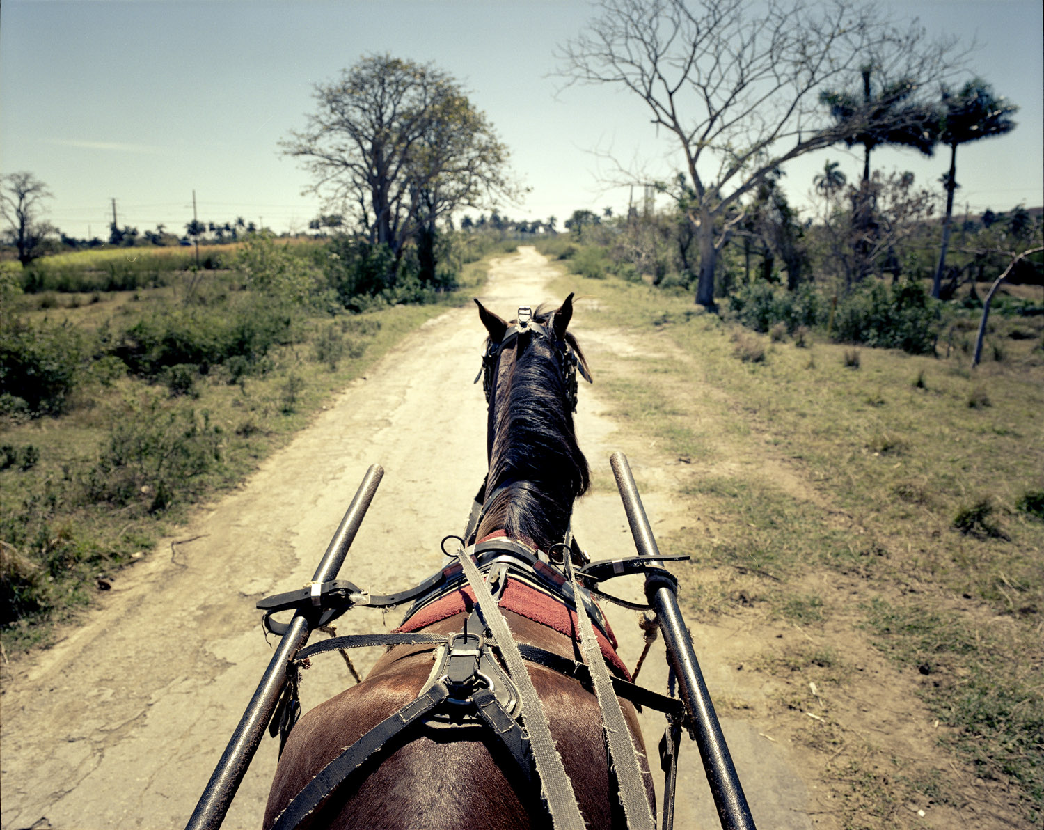 Riding on horse drawn carriages is still the main way to move in the Cuban countryside.