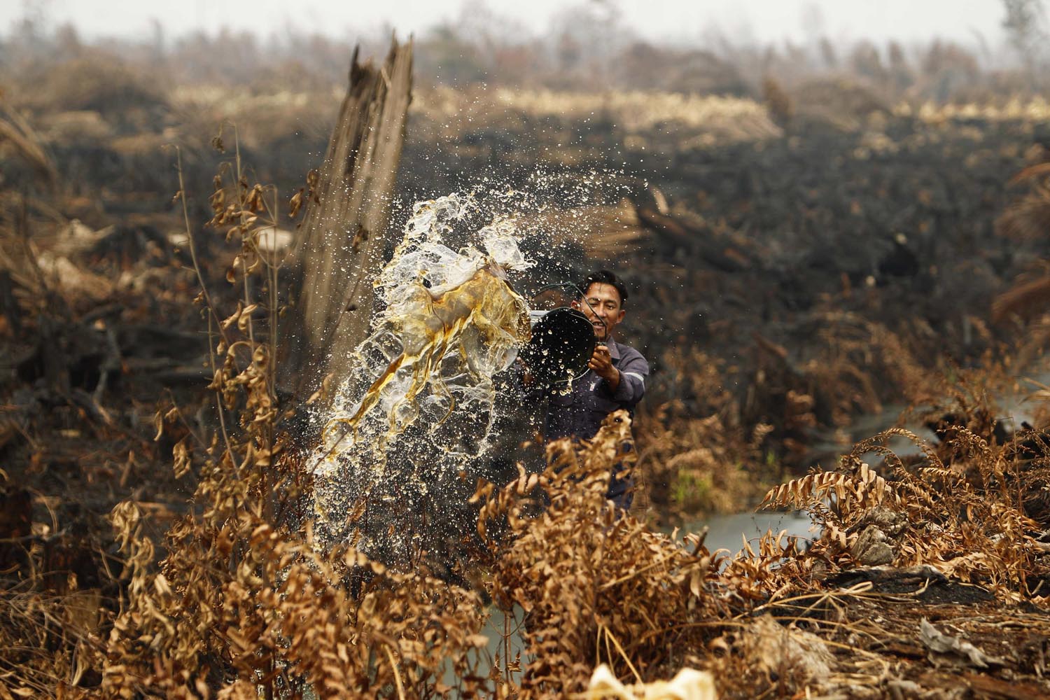 June 26, 2013. A worker pours water to extinguish a fire that is burning through his pineapple plantation in the haze-affected district of Tanah Putih in Rokan Hilir, Indonesia's Riau province.
