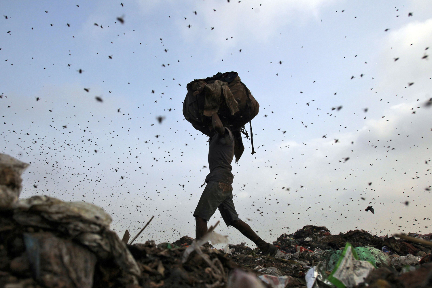 Insects and birds fly in a dump yard as a rag picker collects scraps in New Delhi