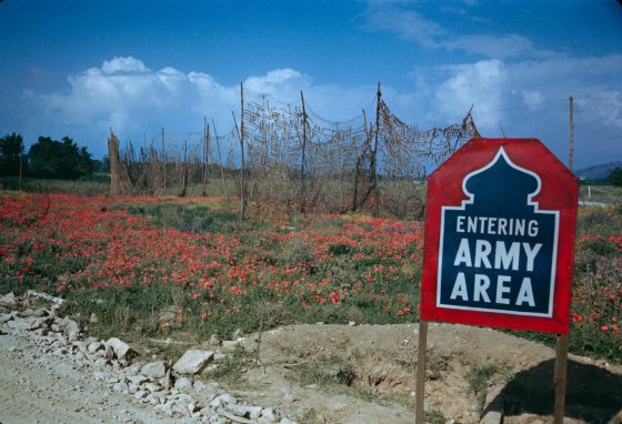 Liri Valley, on the road to Rome, 1944.