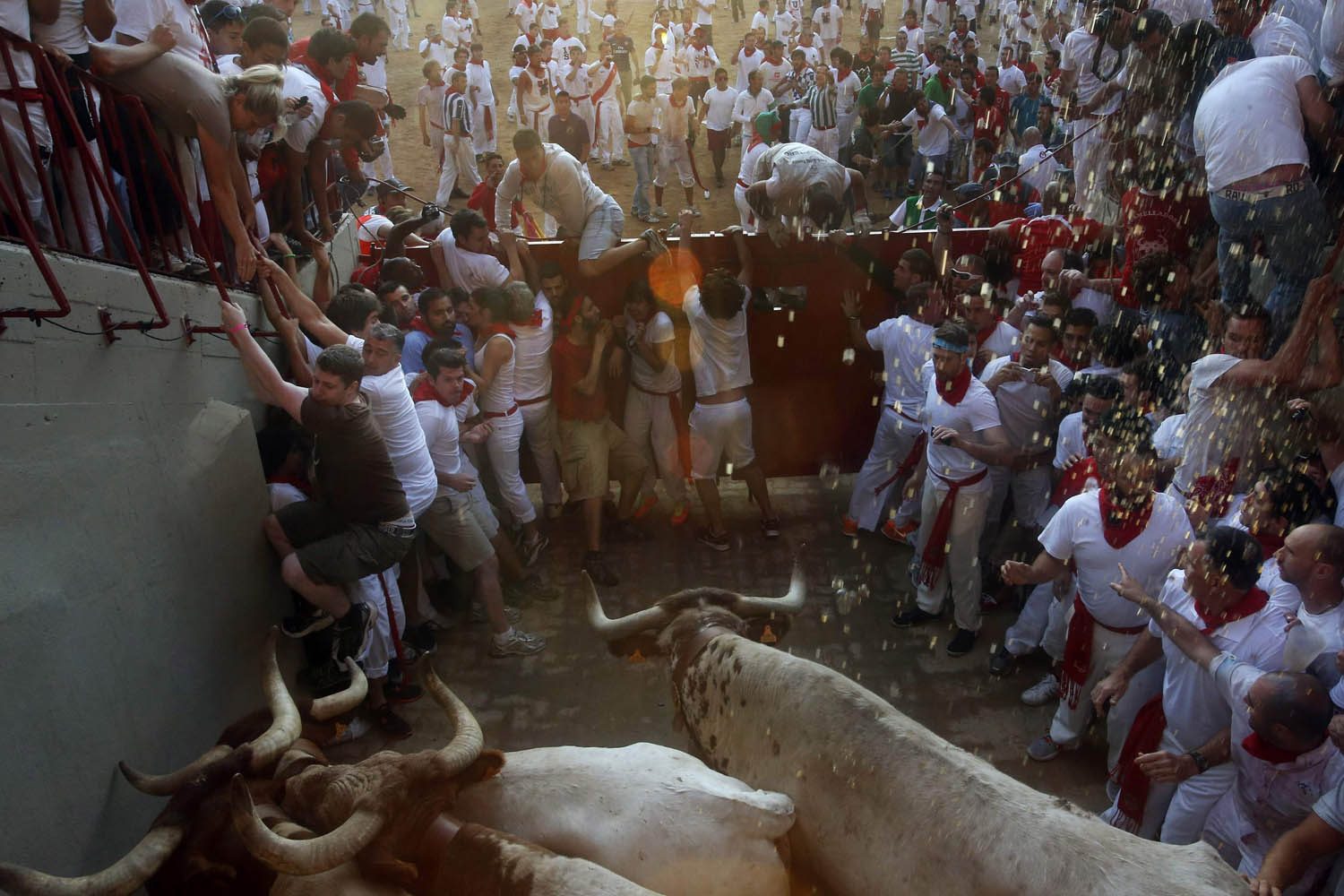 Runners get trapped by steers at the entrance to the bull ring during the third running of the bulls at the San Fermin festival in Pamplona