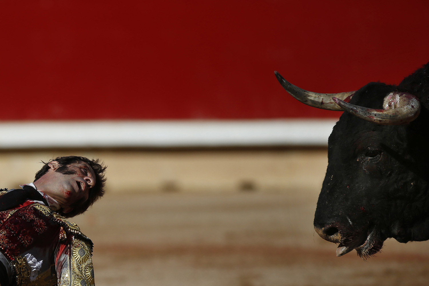July 13, 2013. Spanish bullfighter Juan Jose Padilla turns his head to look at a bull as he kneels down during the seventh bullfight of the San Fermin festival in Pamplona, Spain.