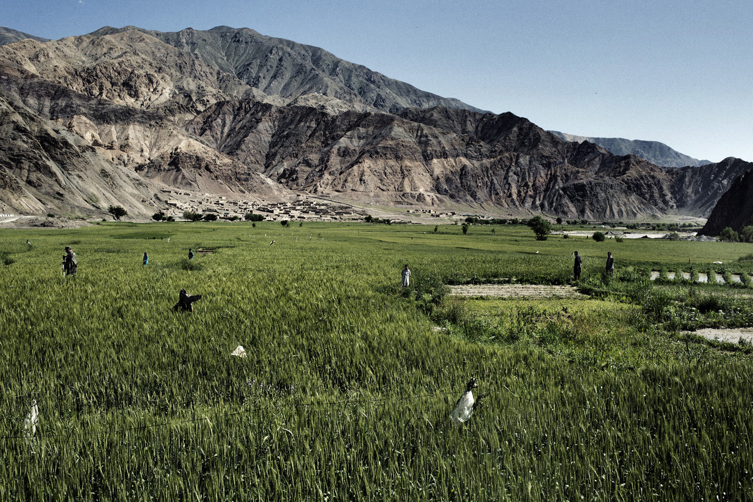 Baghlan province Afghanistan may 2013:The valley where Afghanistan Gold and Minerals is stunning — and extremely poor. Farmers say they can’t make enough money raising crops alone.