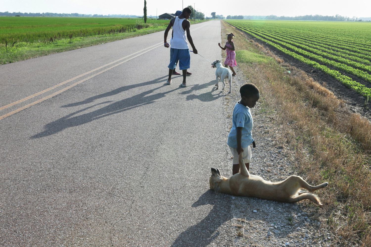 The Kern children walking home, Crawfordsville, AR, 2010