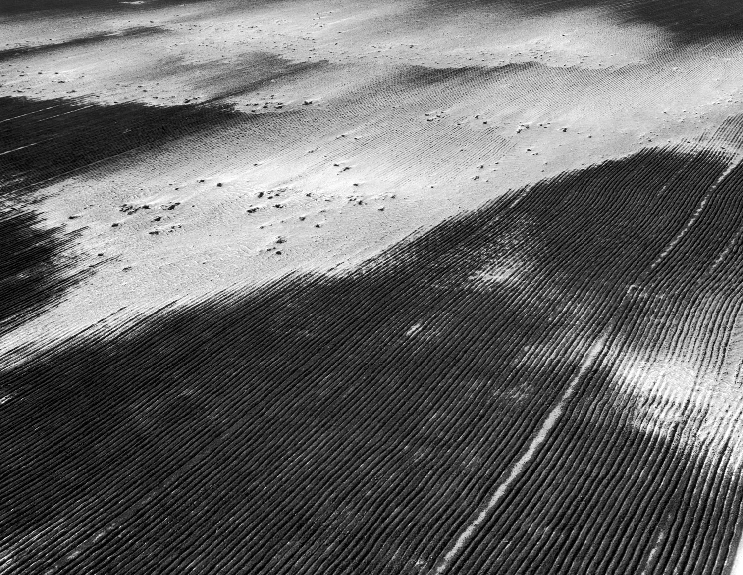 Antidust measure of furrowing land, taken by a conservation-minded farmer in Baca County, goes to naught when neighbor's unfurrowed land blows across his farm, killing crop of winter wheat.