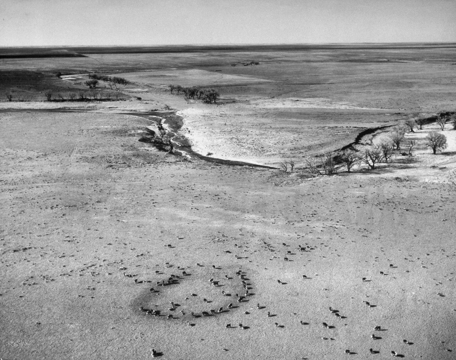 Colorado Dust Bowl, 1954.