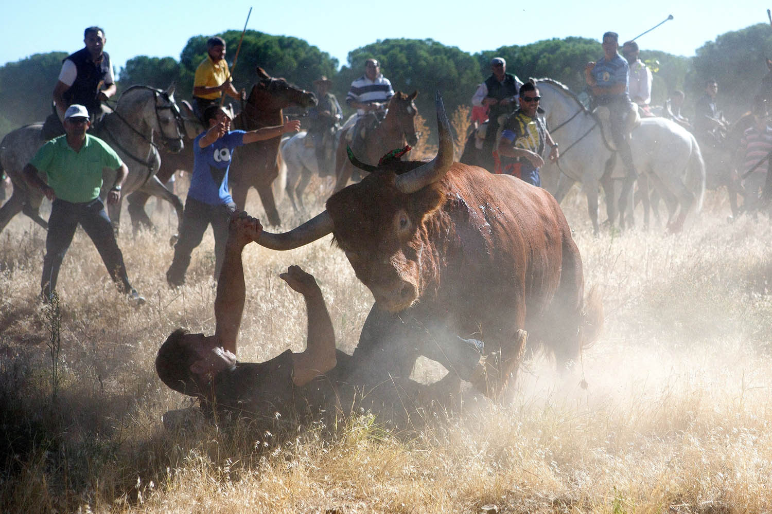 BESTPIX  Bull Killed In Toro De La Vega Festival In Tordesillas