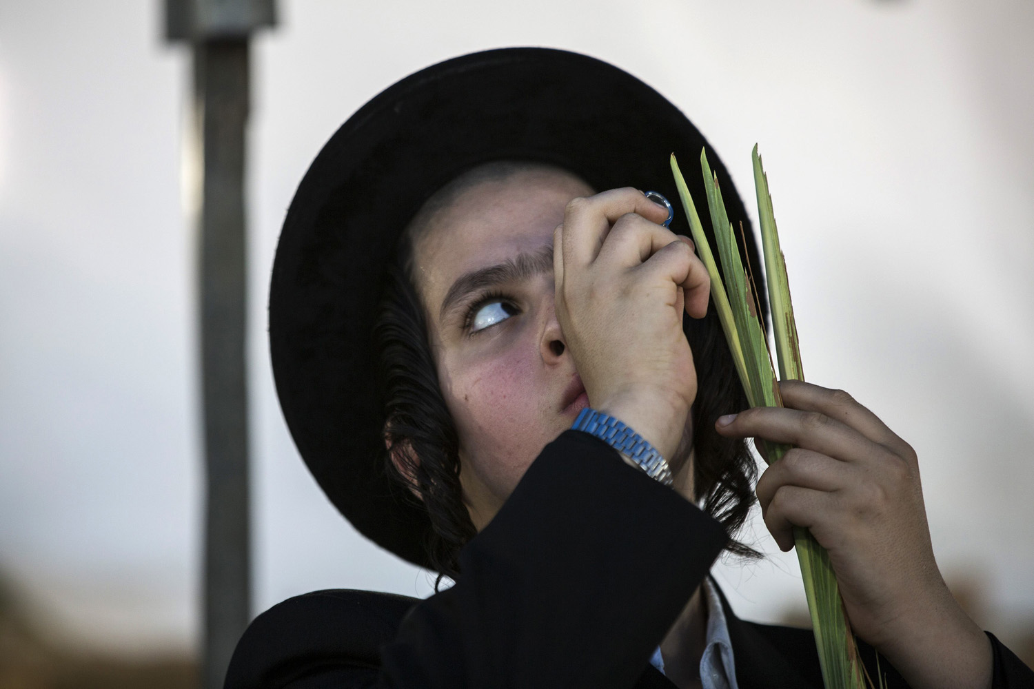 Ultra-Orthodox Jewish teen uses a magnifying glass to check a palm frond for blemishes at a market in Jerusalem