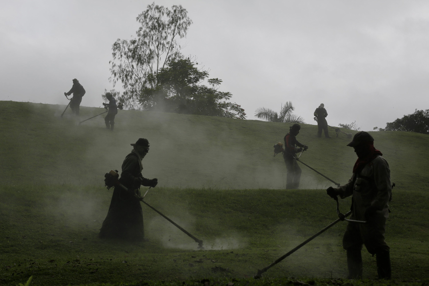 Laborers cut grass in the City of Knowledge in Panama City