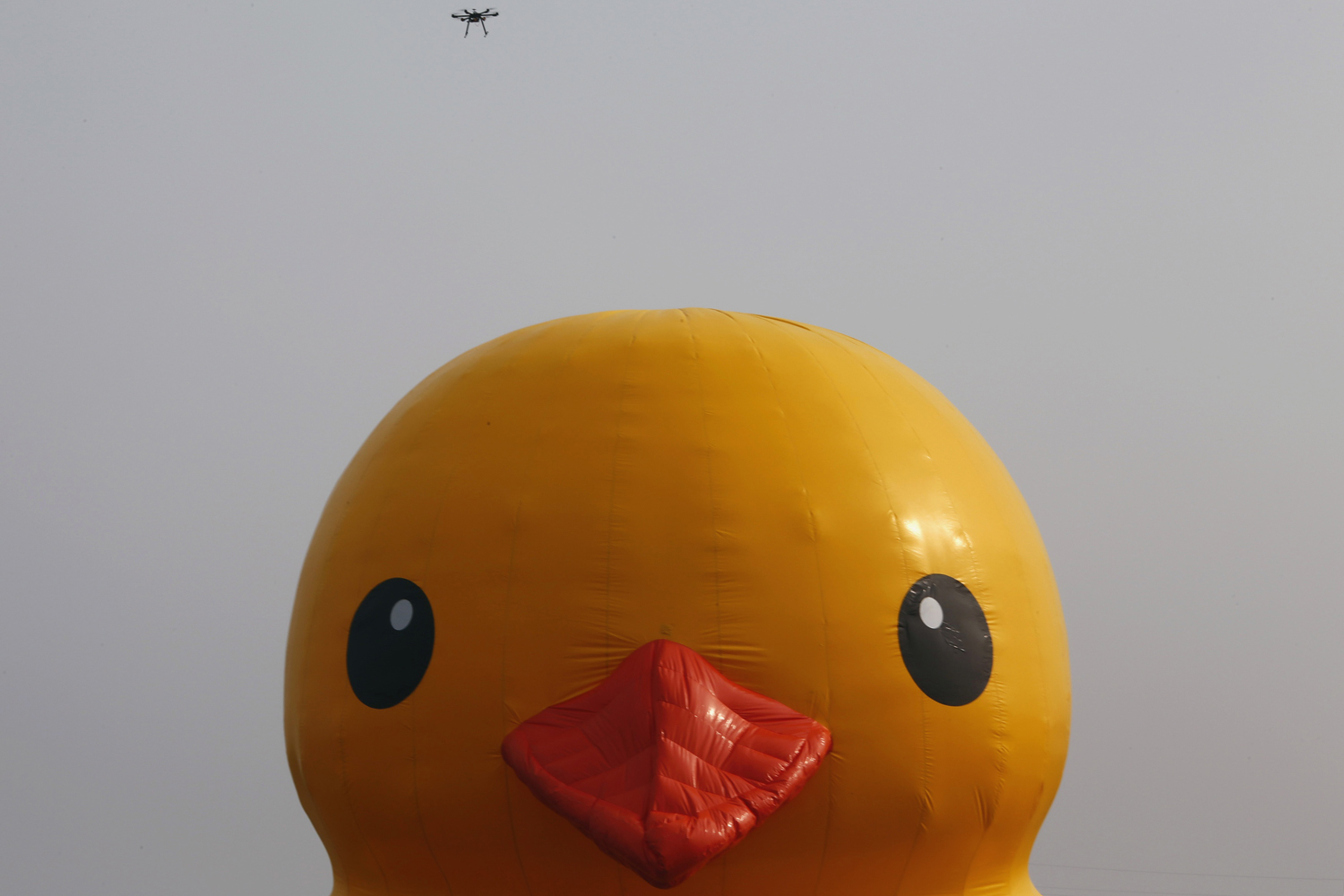 A remote-controlled helicopter camera flies above an inflated Rubber Duck by Dutch conceptual artist Florentijn Hofman floating on a lake at the 9th China International Garden Expo in Beijing