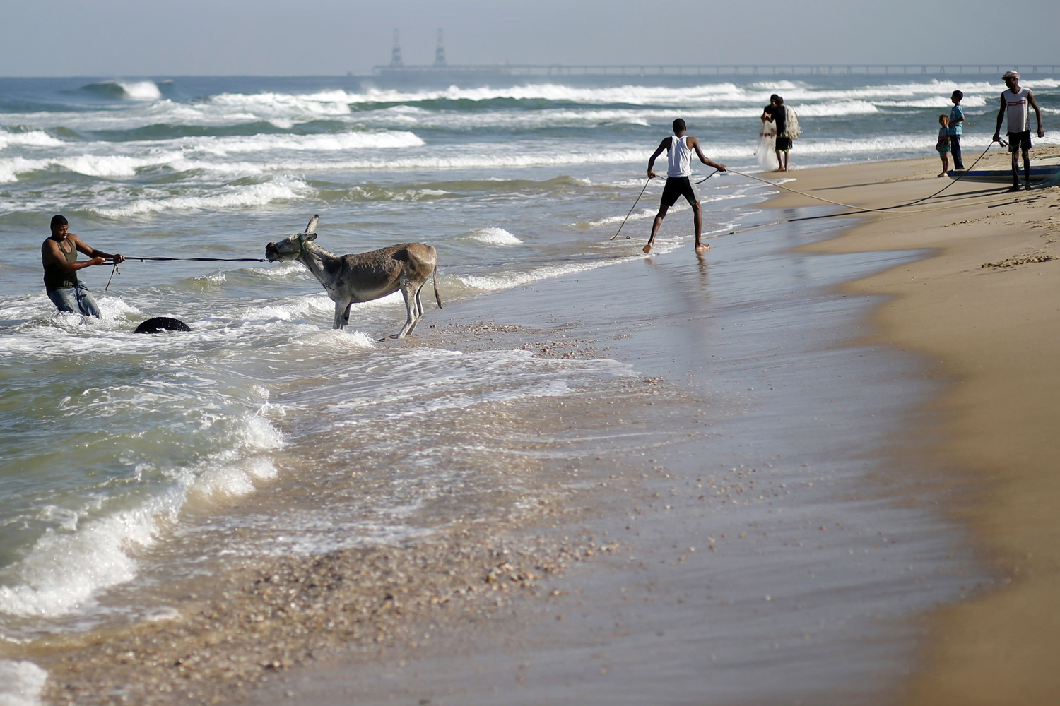 A Palestinian man pulls a donkey into the sea for a wash in Gaza