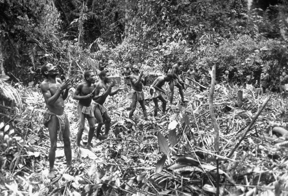 Scene from a 1951 gorilla hunt in what was then French Equatorial Africa.
