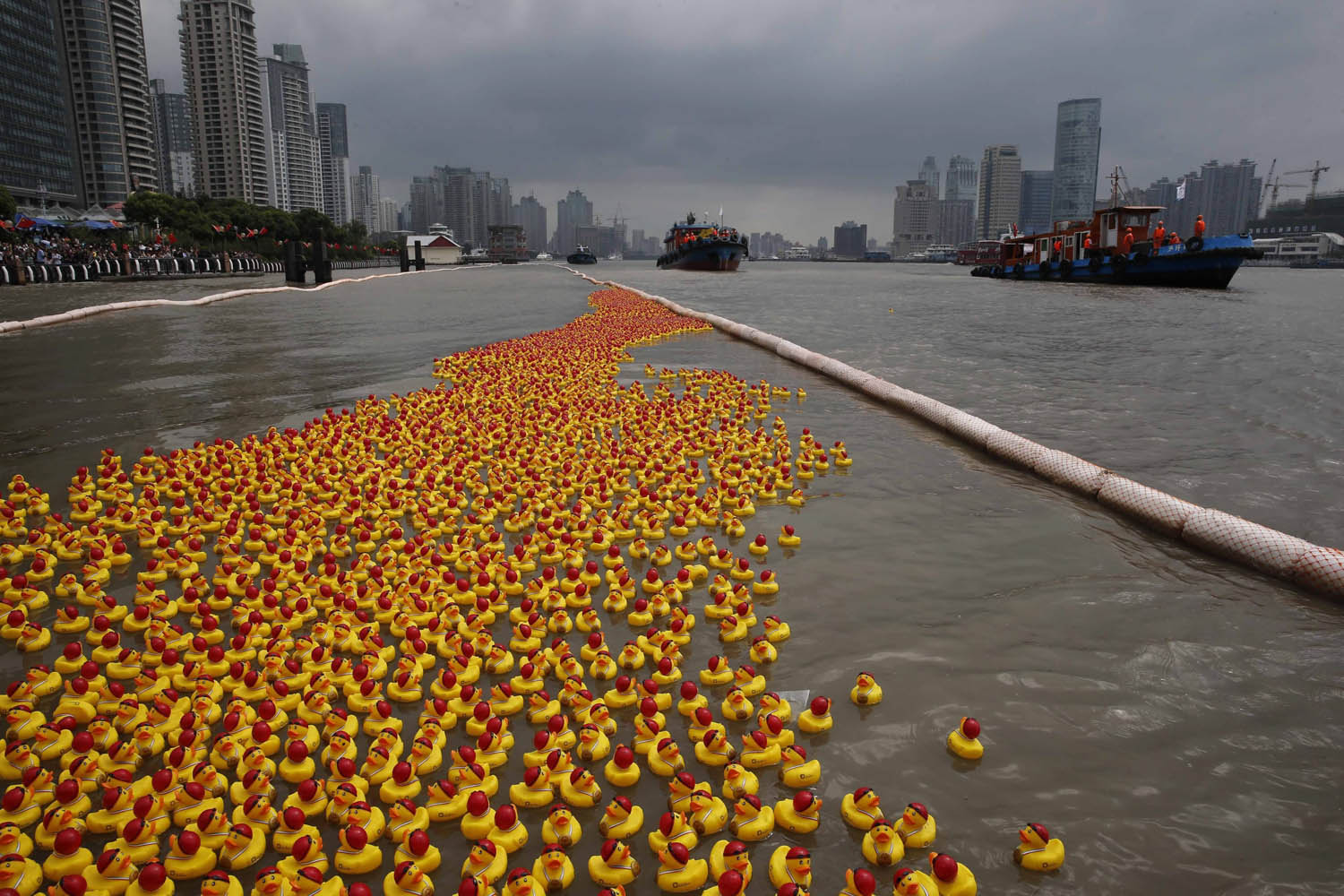 Over 10,000 rubber ducks drifted down Huangpu River for a charity race in China.