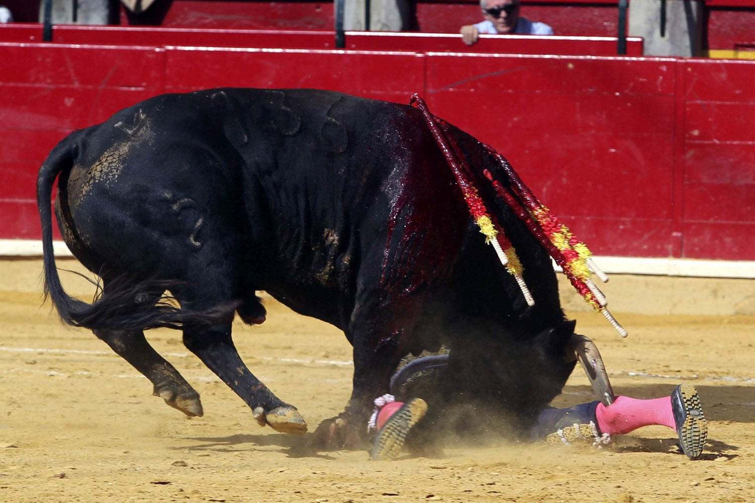 El Pilar bullfighting Fair