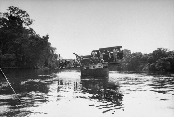 A truck ferried on a river during a gorilla hunt, 1951.