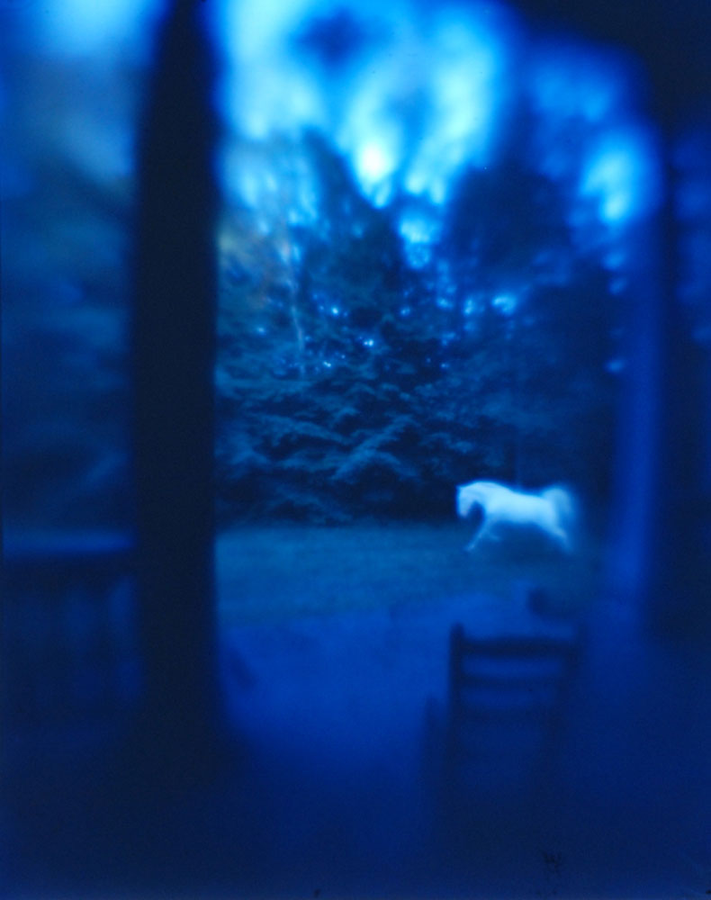 A white horse was said to appear each time someone died at Cliff House, near hendersonville, North Carolina.