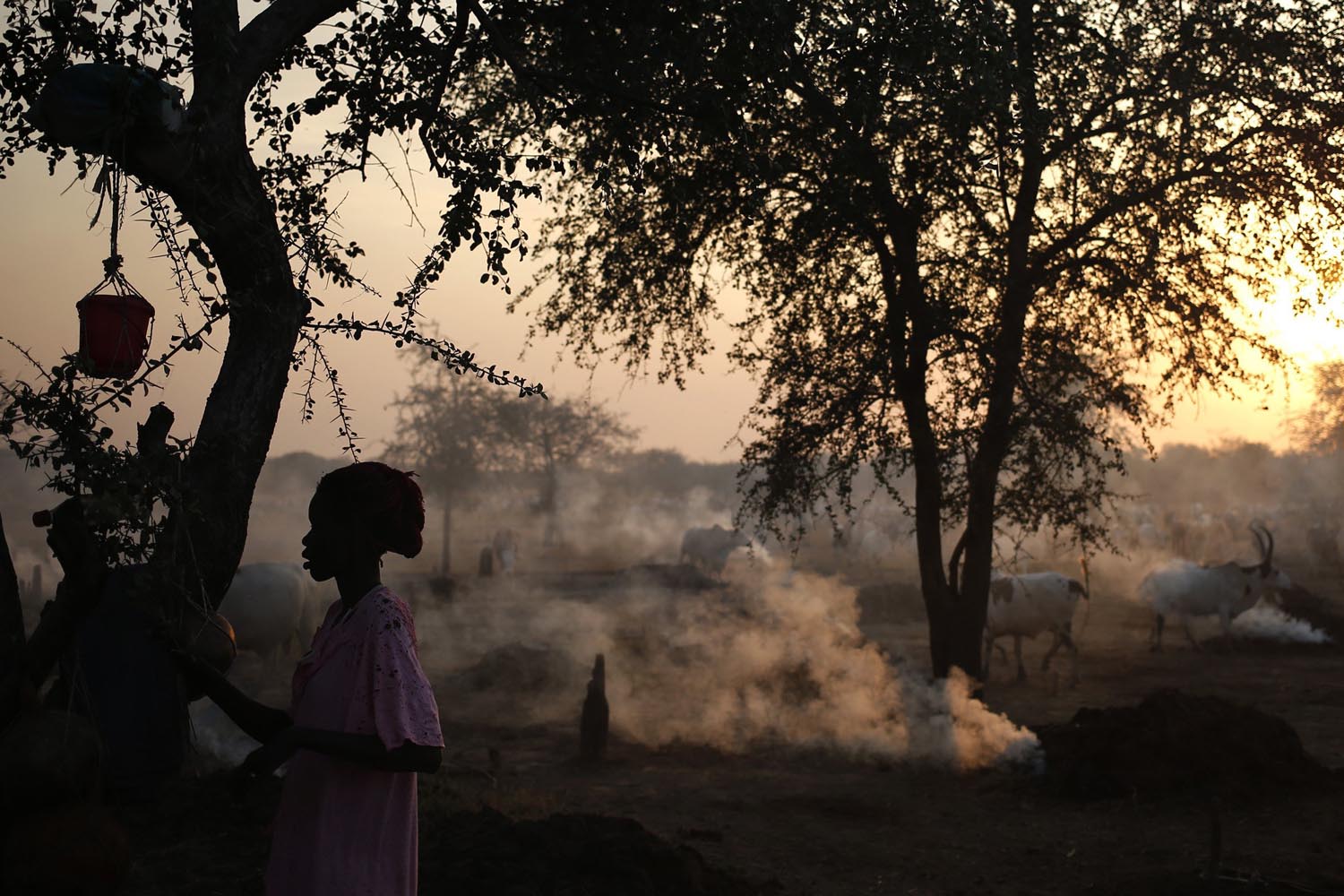 A woman from the Dinka Ngok cattle-herding tribe stands in a cattle camp, near Abyei
