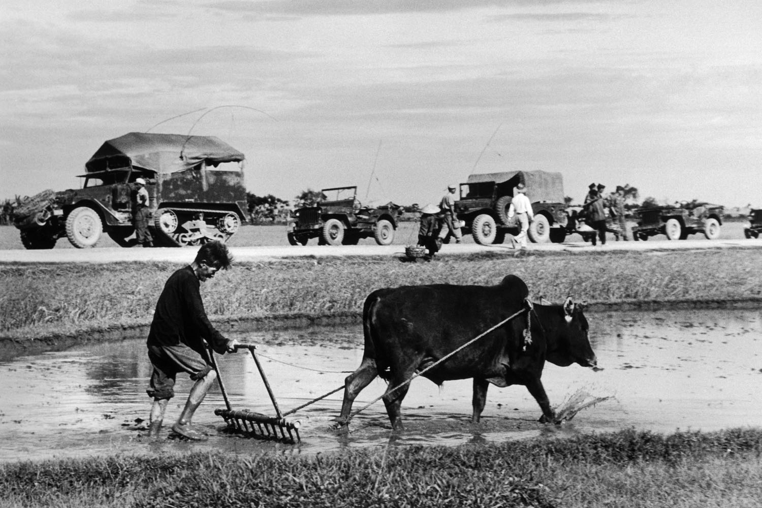 icp 883On the road from Namdinh to Thaibinh. May 25th, 1954. A French military convoy on its way north towards Doai Tan. In the foreground: a rice field.