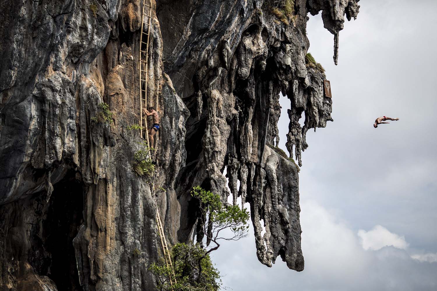 Oct. 24, 2013. In this image provided by Red Bull, Blake Aldridge (R) of the UK dives from a 25 metre rock at Viking Caves in the Andaman Sea as Michal Navratil (C) of the Czech Republic makes his way up the ladders during competition on the fifth day of the final stop of the 2013 Red Bull Cliff Diving World Series at Phi Phi Island, Thailand.