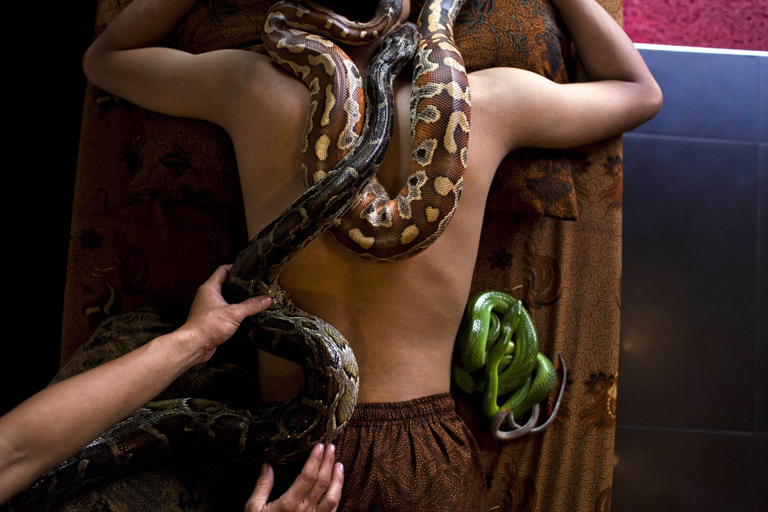 Oct. 27, 2013. A members of staff demonstrates a form of massage using pythons at Bali Heritage Reflexology and Spa, in Jakarta, Indonesia.