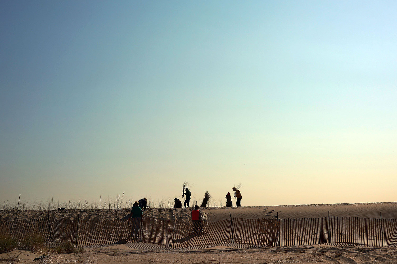 Oct. 29, 2013. Residents plant beach grass on protective sand dunes in the Breezy Point neighborhood on the one-year anniversary of Hurricane Sandy in the Queens borough of New York City.