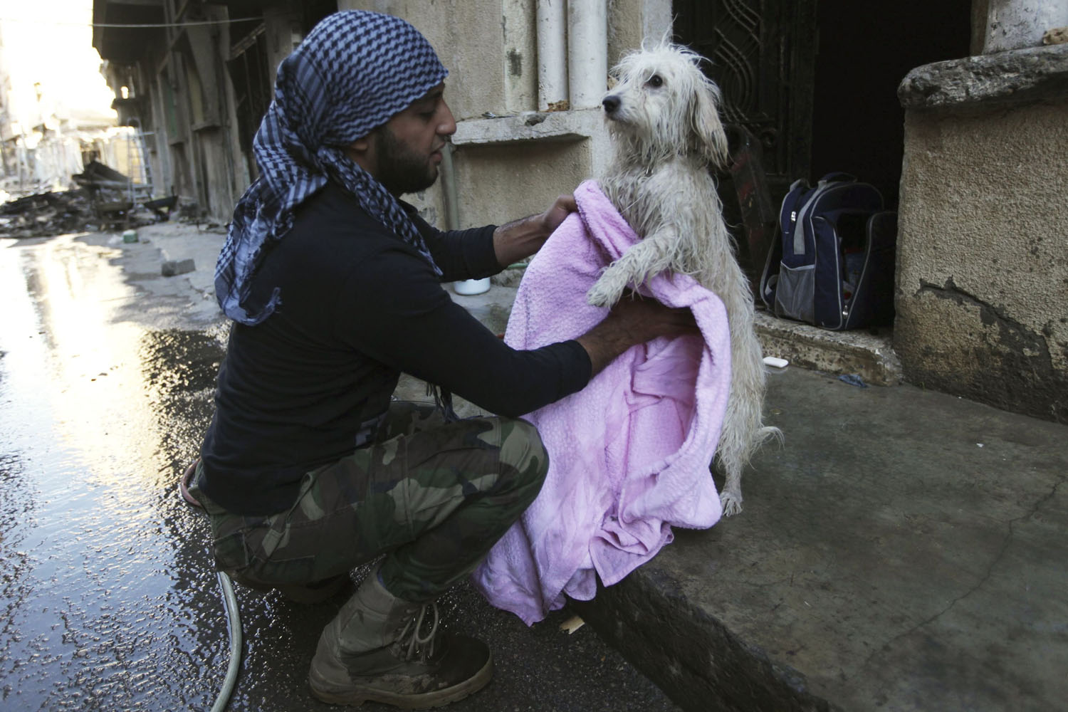A Free Syrian Army fighter dries a dog after giving it a wash in Deir al-Zor