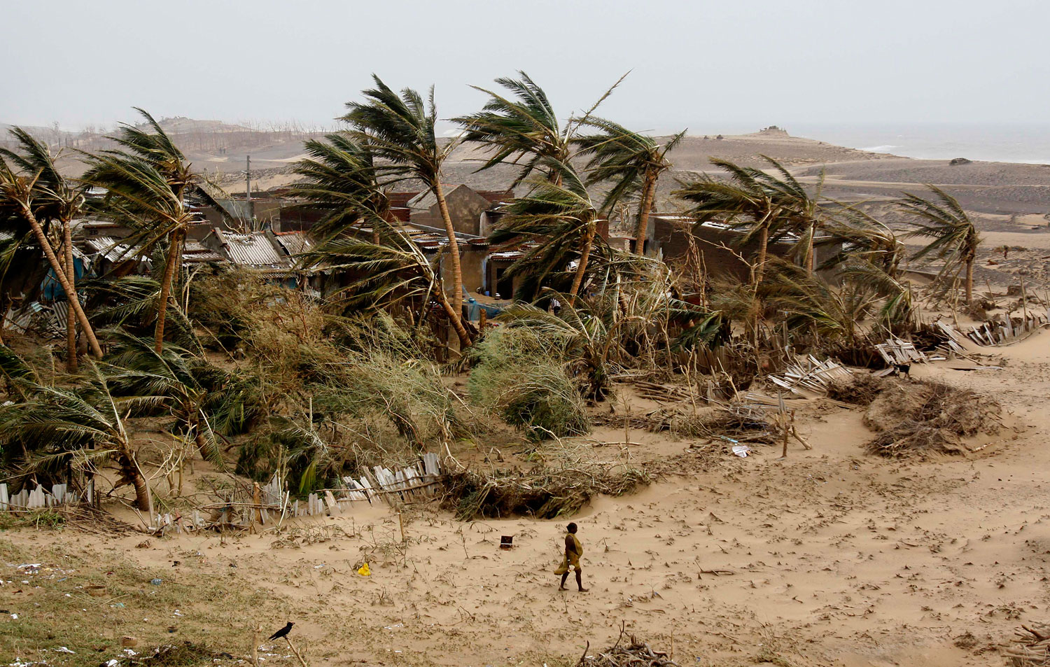 A woman returns to the cyclone hit Arjipalli village on the Bay of Bengal coast in Ganjam district, Orissa state, India.