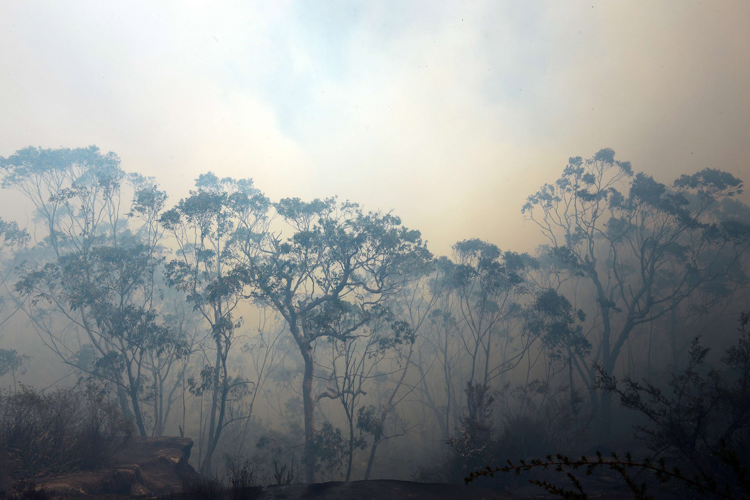 Oct. 24, 2013. Think smoke from a bush fire fills the sky near Faulconbridge in the Blue Mountains, Australia.