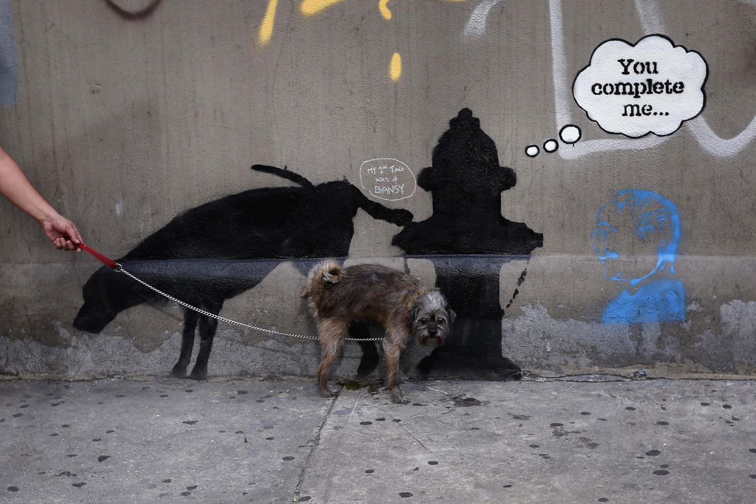 Oct. 3, 2013. A dog urinates on a new work by British street artist Banksy that appeared on West 24th street in New York after Banksy announced a month-long  artist's residency  in the city.