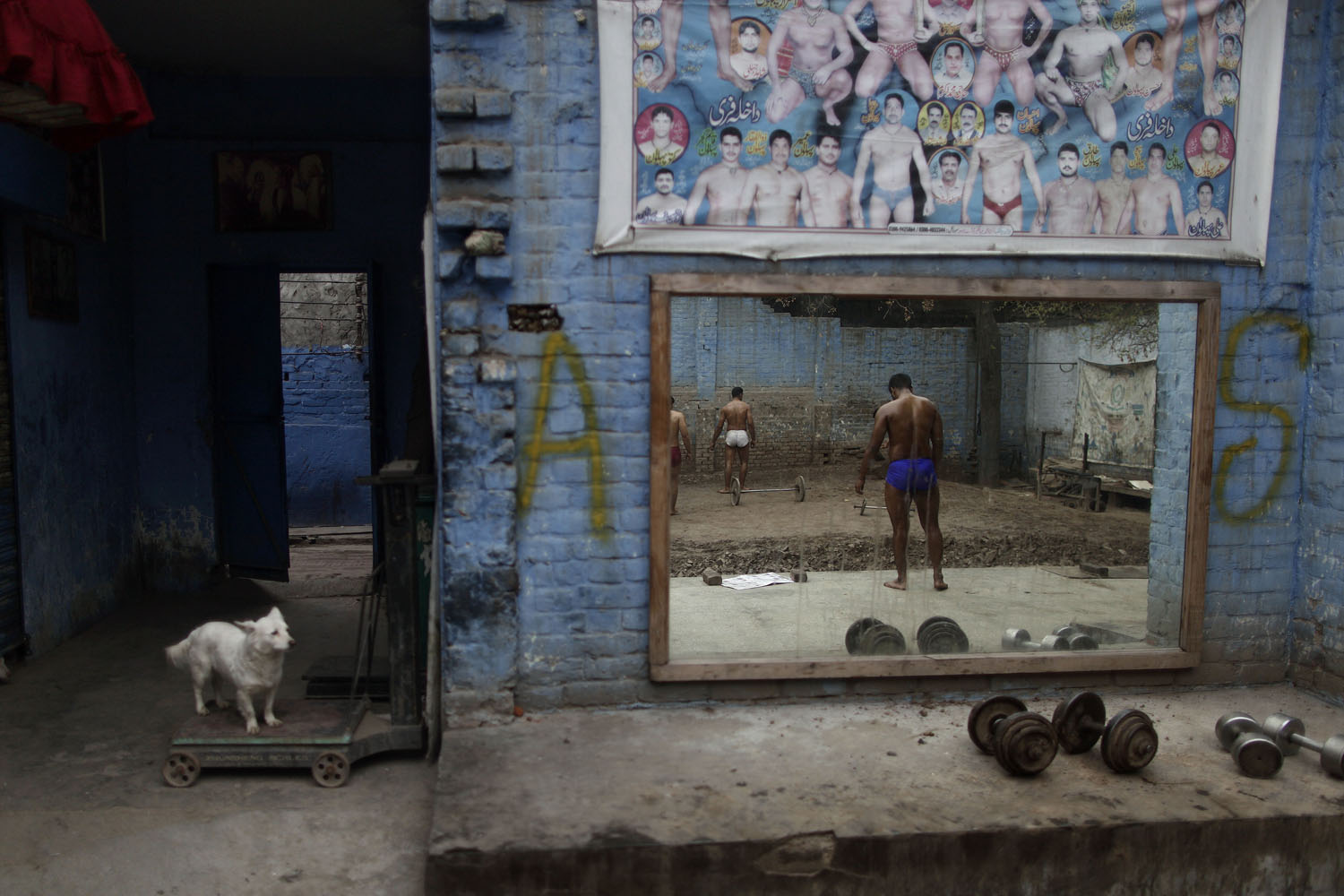 Feb. 26, 2013. A dog looks at Pakistani Kushti wrestlers, right, reflected on a mirror, attend their daily training session in Lahore. Kushti, an Indo-Pakistani form of wrestling, is several thousand years old and is a national sport in Pakistan.