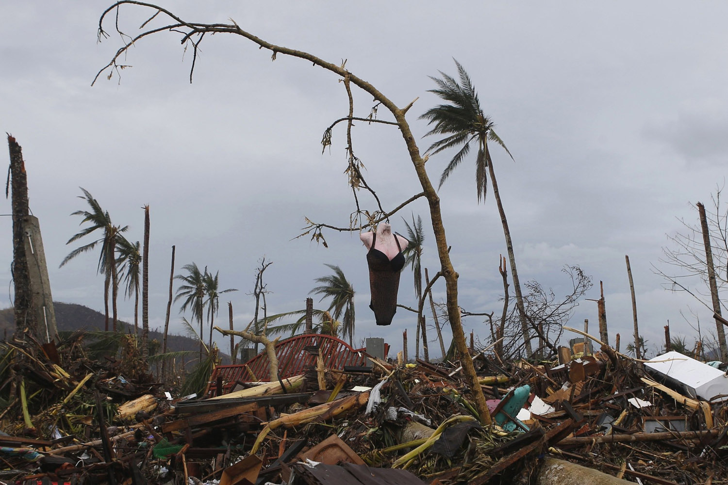 A mannequin hangs on a tree amidst debris brought by super typhoon Haiyan in Palo, Leyte province in central Philippines